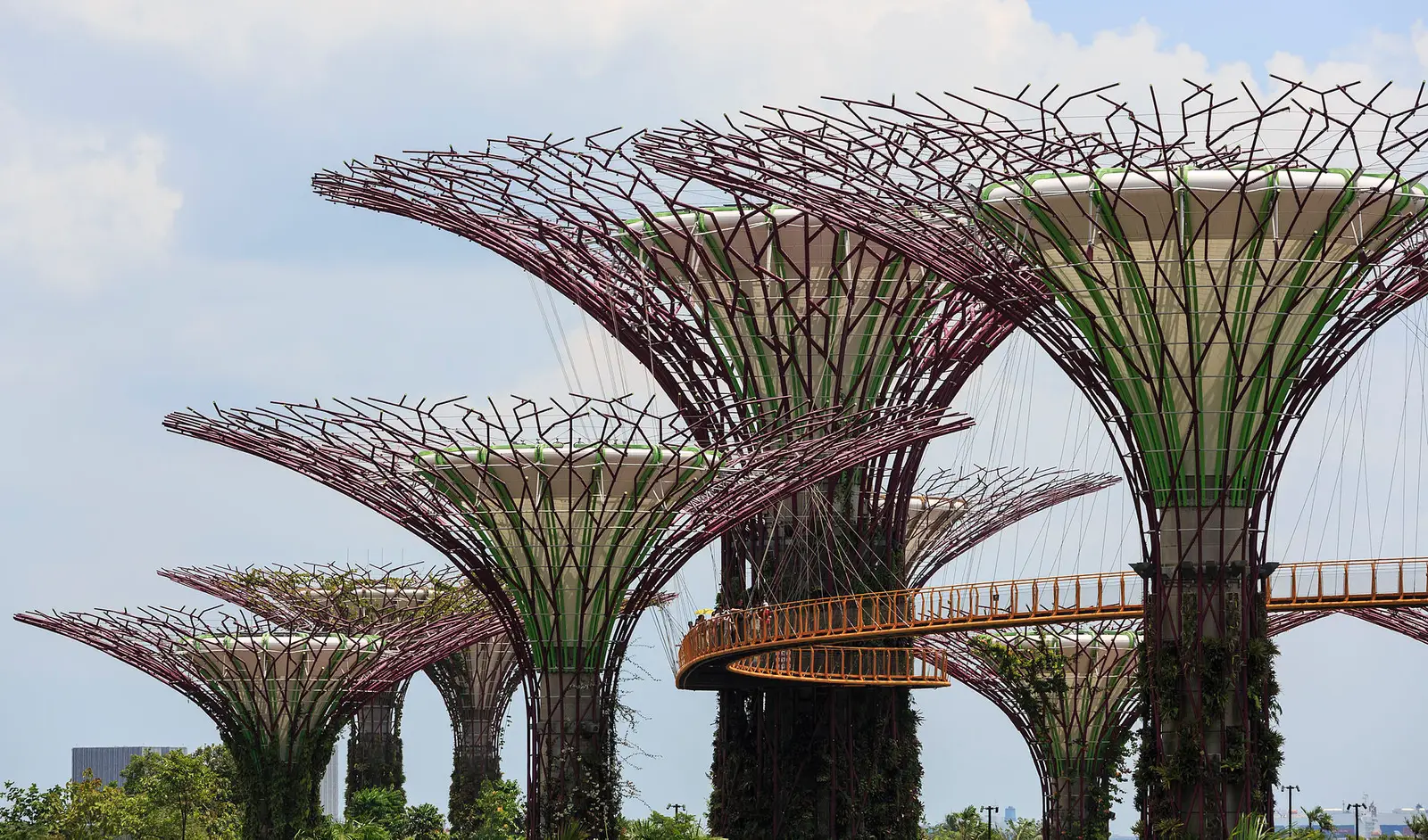 De Supertrees van Gardens by the Bay in Singapore, met de stadsrand erachter
