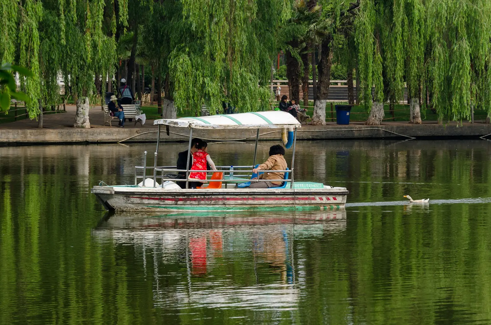 Een boot onder treurwilgen op het Groene Meer in Kunming